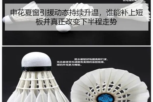 申花夏窗引援动态持续升温，谁能补上短板并真正改变下半程走势